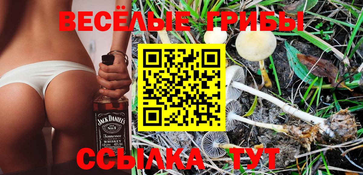 Галлюциногенные грибы GOLDEN TEACHER  Вход с VPN  Дедовск  Псилоцибиновые грибы MAGIC MUSHROOMS 