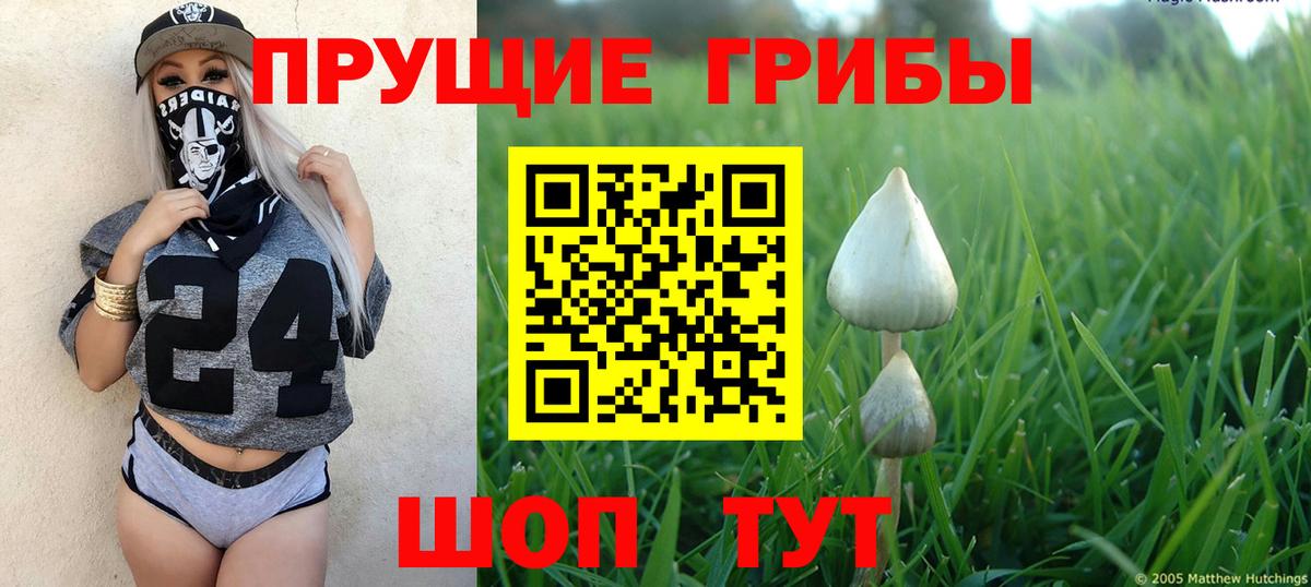 Галлюциногенные грибы прущие грибы Дедовск